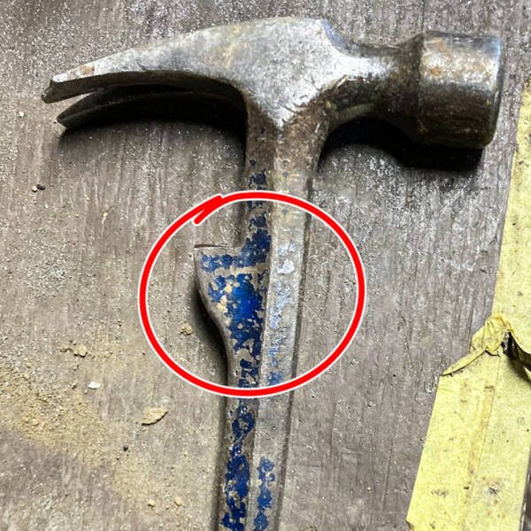What Are These Things (15 pics)