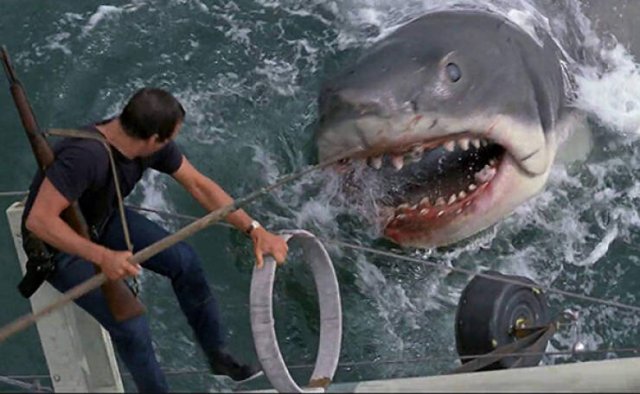 People Share Their Favorite Movies (18 pics)