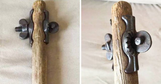 What Are These Things (15 pics)