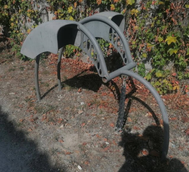 What Are These Things (15 pics)