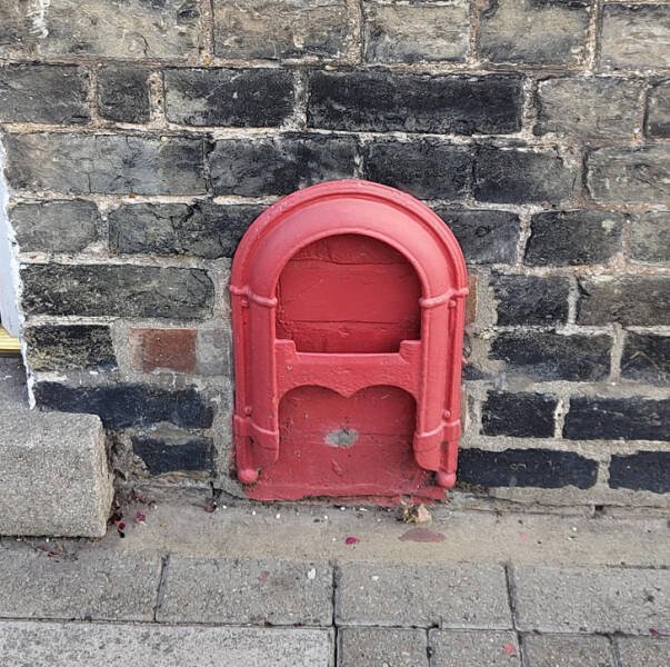 What Are These Things (15 pics)