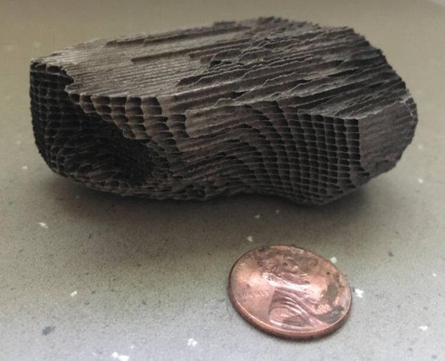What Are These Things (15 pics)