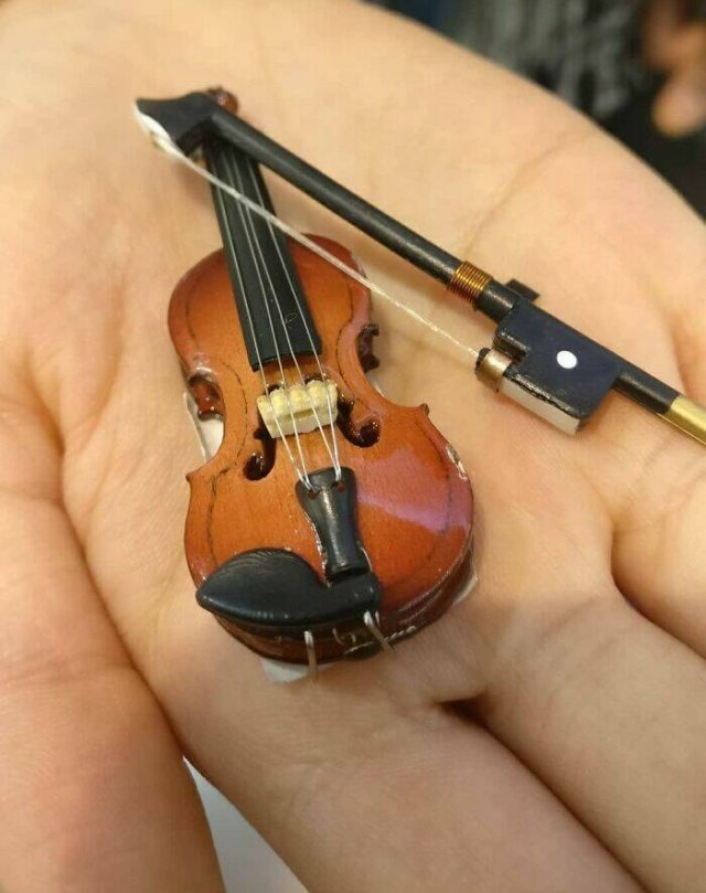 Failed Online Shopping (24 pics)