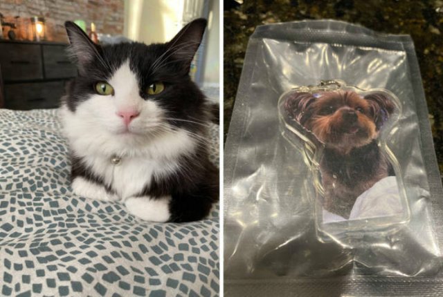 Failed Online Shopping (24 pics)