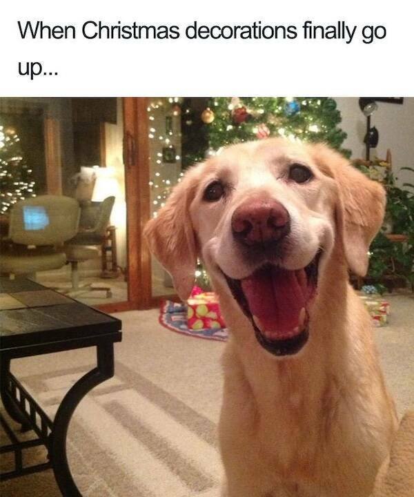 Memes For Those Who Are Already Waiting For Christmas (26 pics)