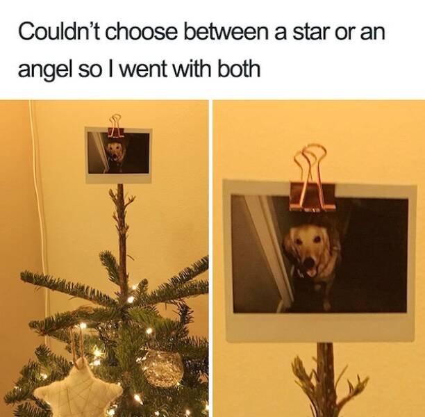 Memes For Those Who Are Already Waiting For Christmas (26 pics)