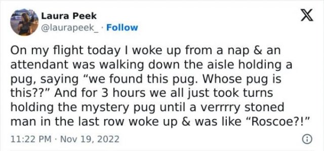 Funny Tweets (24 pics)