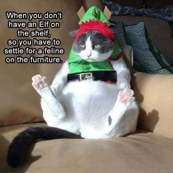 Memes For Those Who Are Already Waiting For Christmas (26 pics)