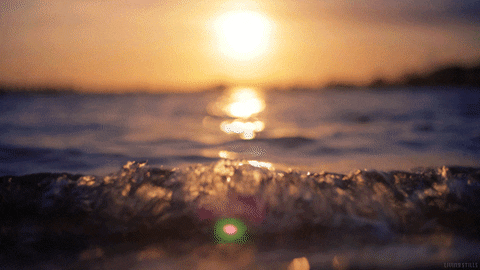 Useless Knowledge (19 gifs) Useless Knowledge (19 gifs)
