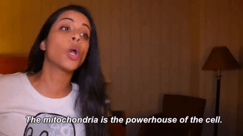 Useless Knowledge (19 gifs) Useless Knowledge (19 gifs)