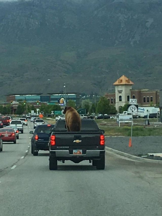 Strange Things And Finds (22 pics)