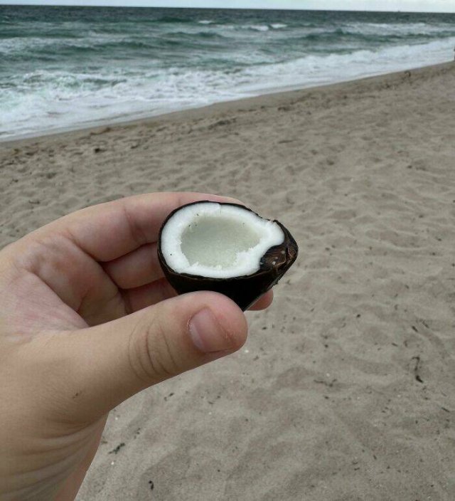 Unusual Finds On The Beaches (22 pics)