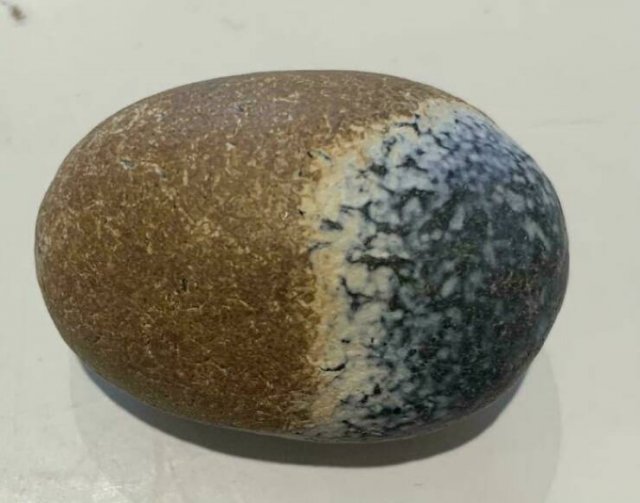 Unusual Finds On The Beaches (22 pics)
