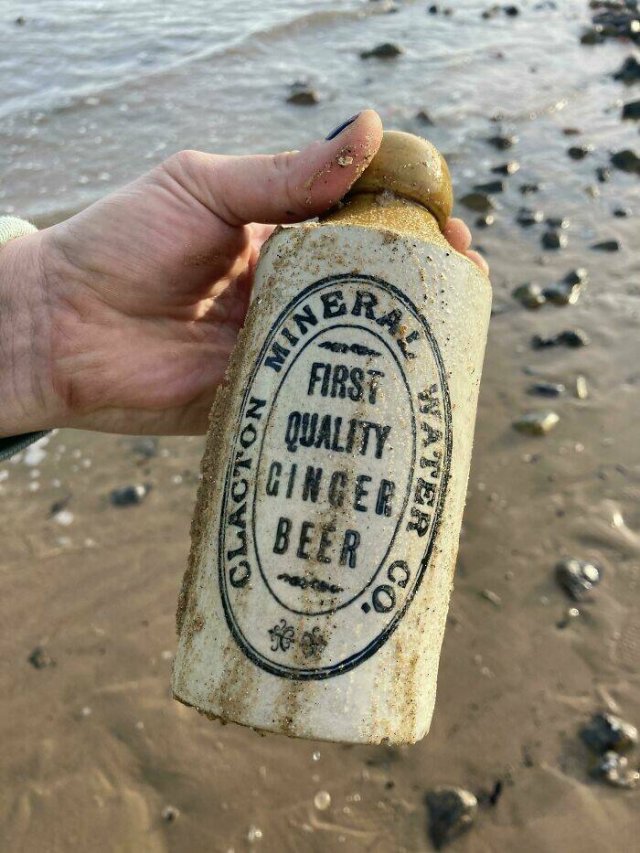 Unusual Finds On The Beaches (22 pics)