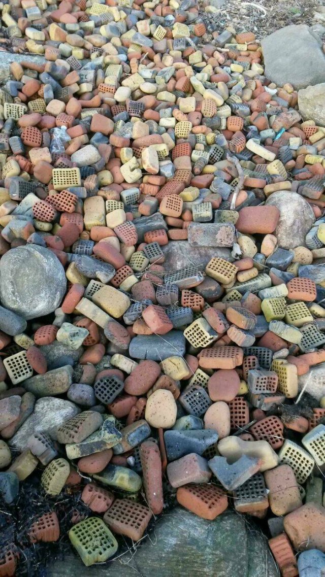 Unusual Finds On The Beaches (22 pics)