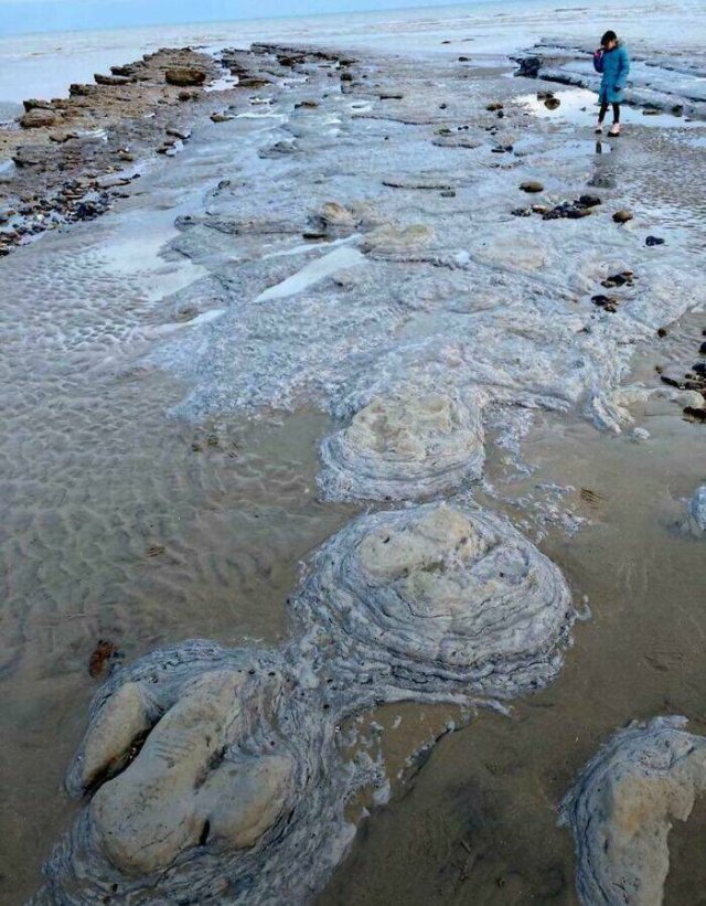 Unusual Finds On The Beaches (22 pics)