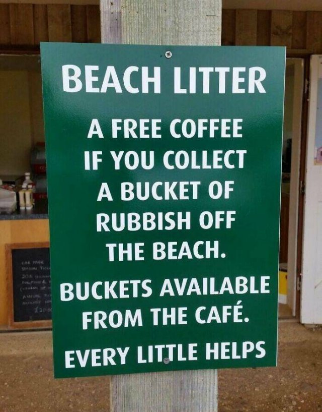 Unusual Finds On The Beaches (22 pics)