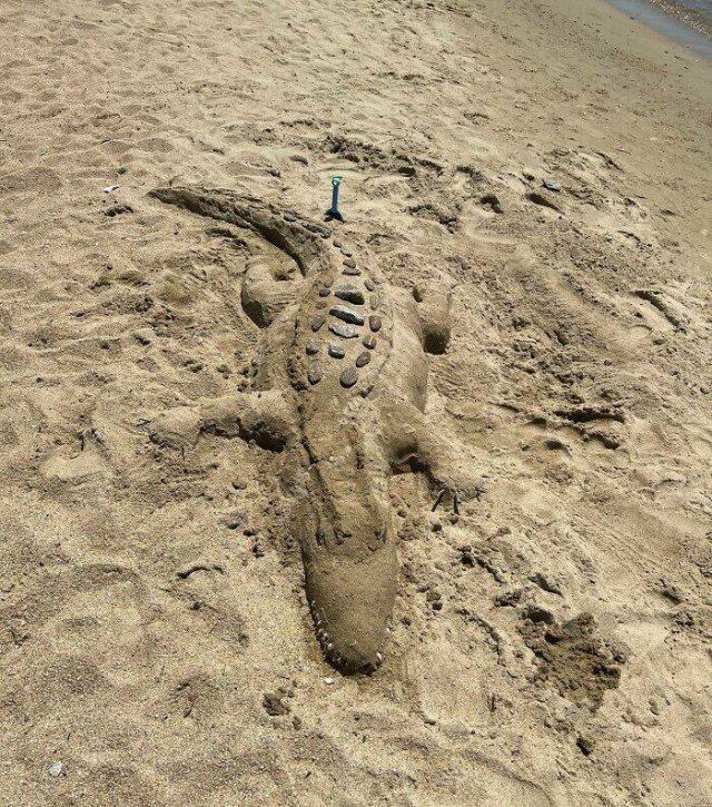 Unusual Finds On The Beaches (22 pics)