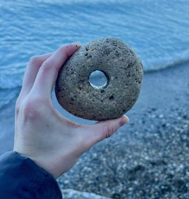 Unusual Finds On The Beaches (22 pics)