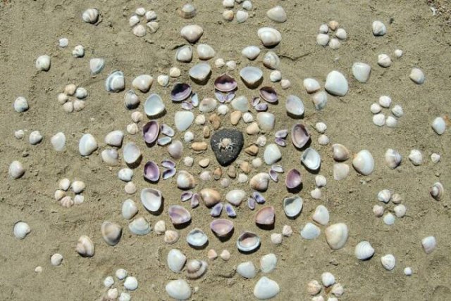 Unusual Finds On The Beaches (22 pics)