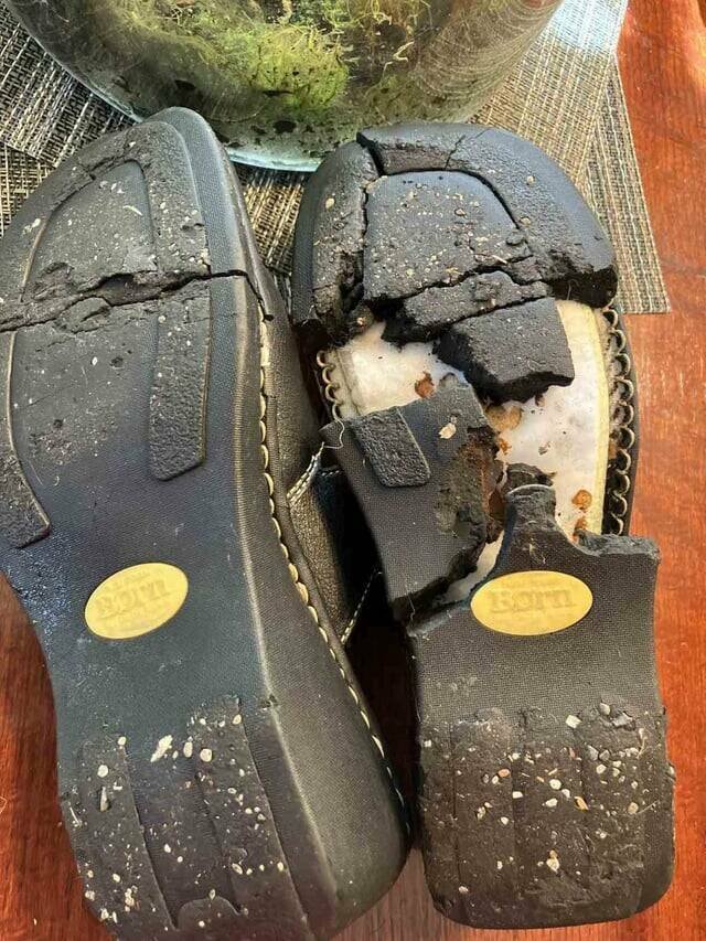 Really Interesting Finds (20 pics)