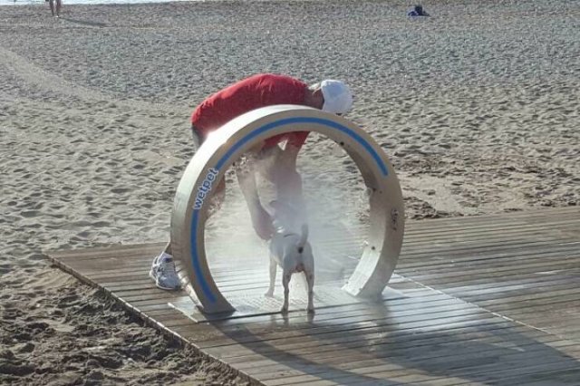 Unusual Finds On The Beaches (22 pics)