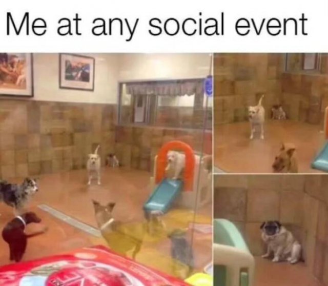 Memes About Anxiety (15 pics)