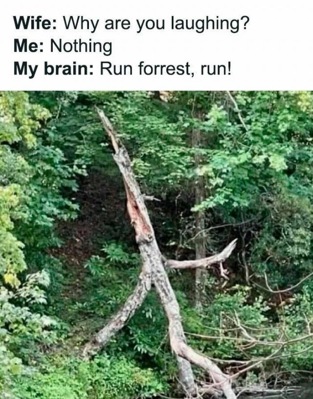 Dads Jokes (22 pics)
