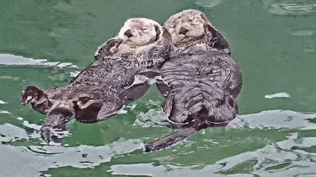 Reassuring Truths (16 gifs) Reassuring Truths (16 gifs)