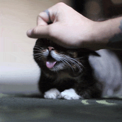 Reassuring Truths (16 gifs) Reassuring Truths (16 gifs)