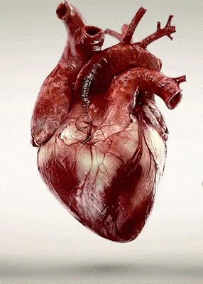 Reassuring Truths (16 gifs) Reassuring Truths (16 gifs)