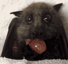 Reassuring Truths (16 gifs) Reassuring Truths (16 gifs)
