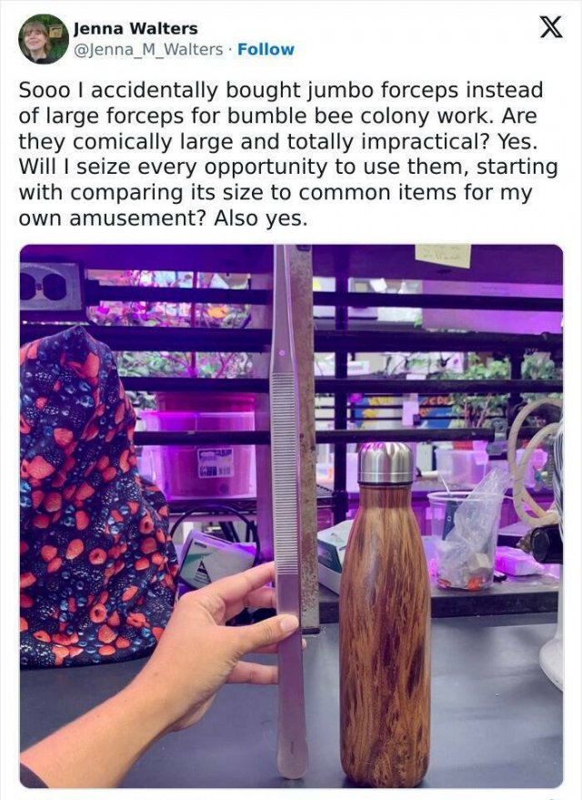 Interesting Finds (25 pics)