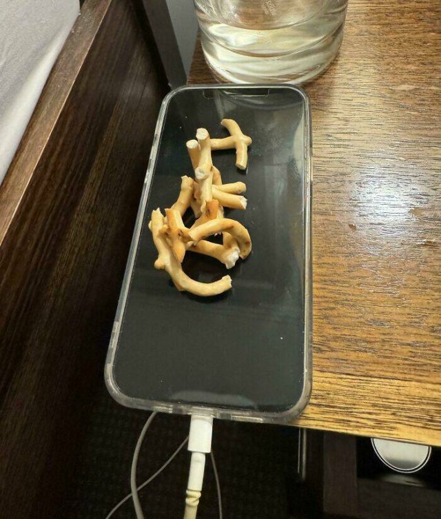 Annoying Habits (26 pics)
