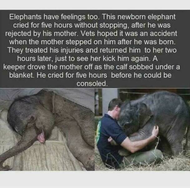 Awful Situations (16 pics)