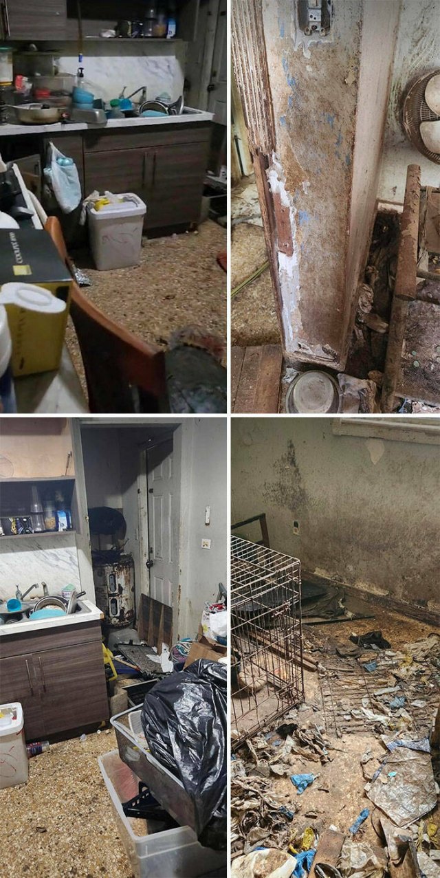 Awful Situations (16 pics)