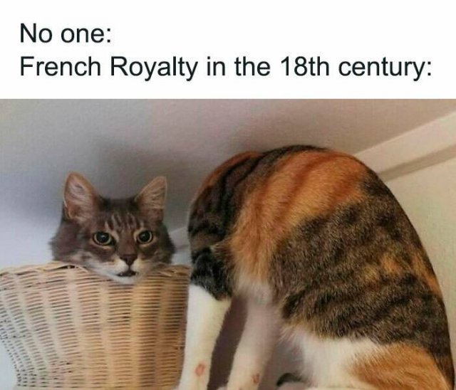 Historical Memes (19 pics)