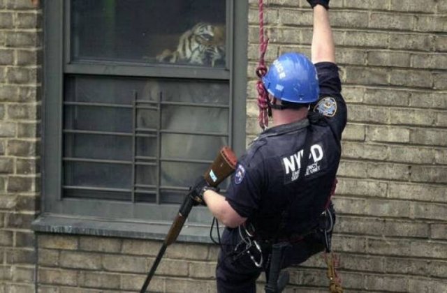 Unusual Finds And Discoveries (21 pics)
