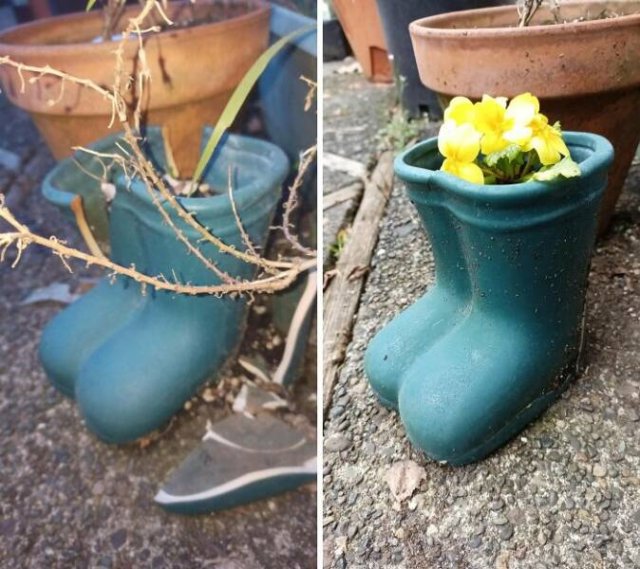 Cool Neighbors (24 pics)