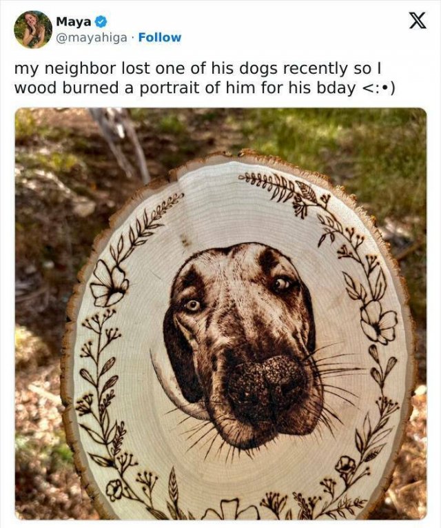 Cool Neighbors (24 pics)