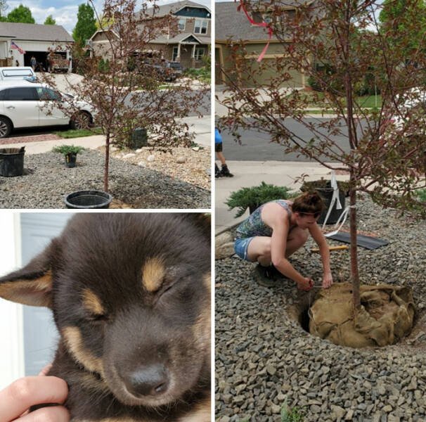Cool Neighbors (24 pics)