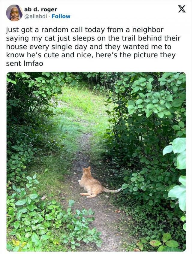 Cool Neighbors (24 pics)
