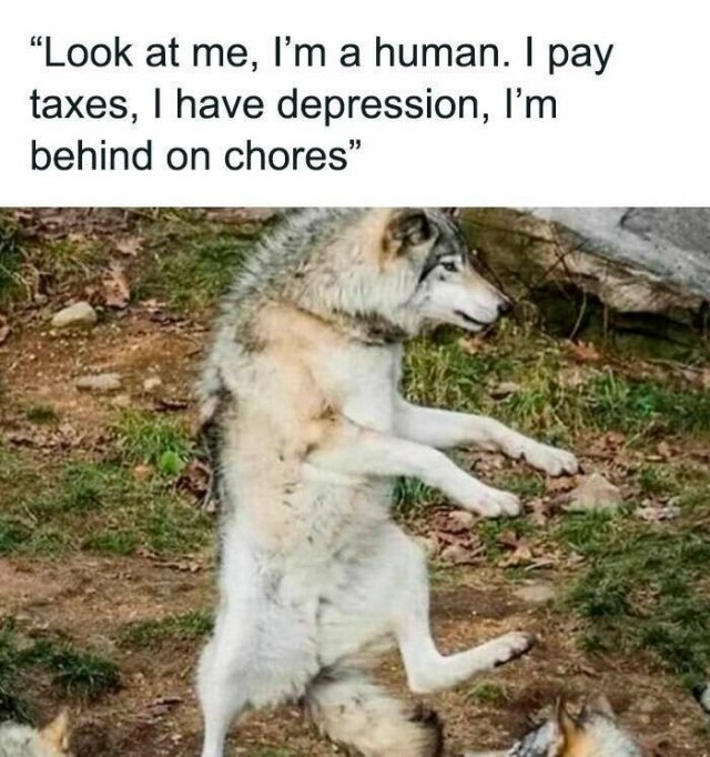 Memes For Millennials (20 pics)