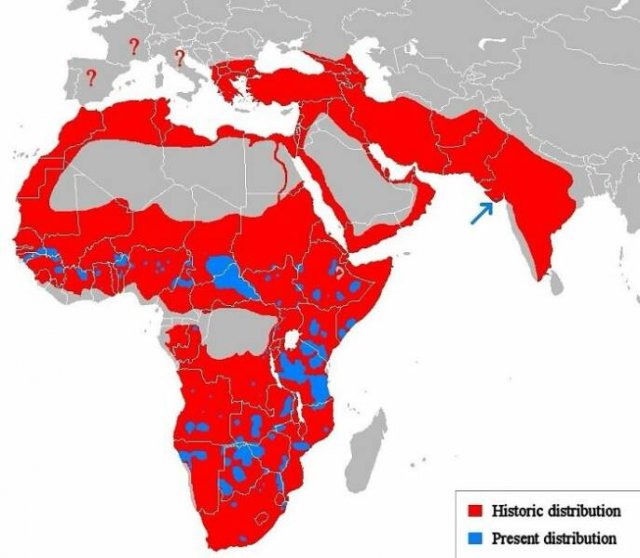 Fascinating Maps (21 pics)
