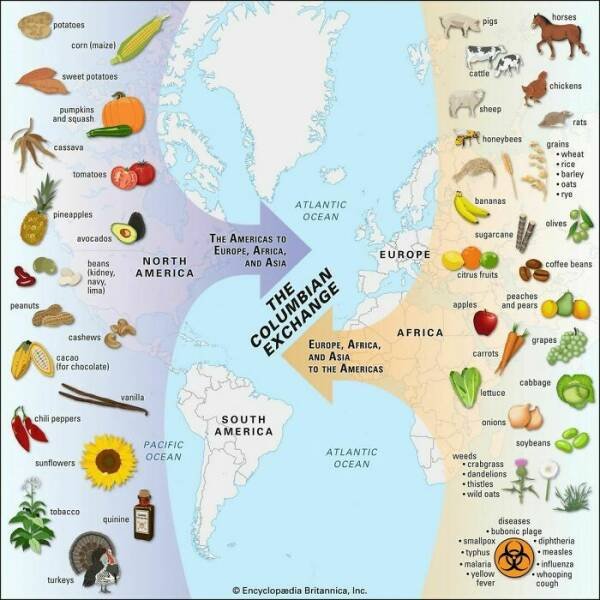 Fascinating Maps (21 pics)