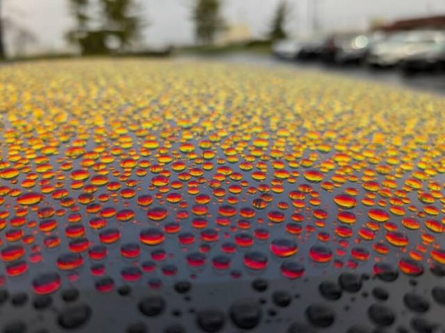 Interesting Finds (20 pics)