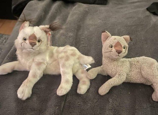 Interesting Finds (20 pics)