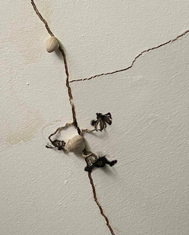 Unsuccessful Repair (25 pics)