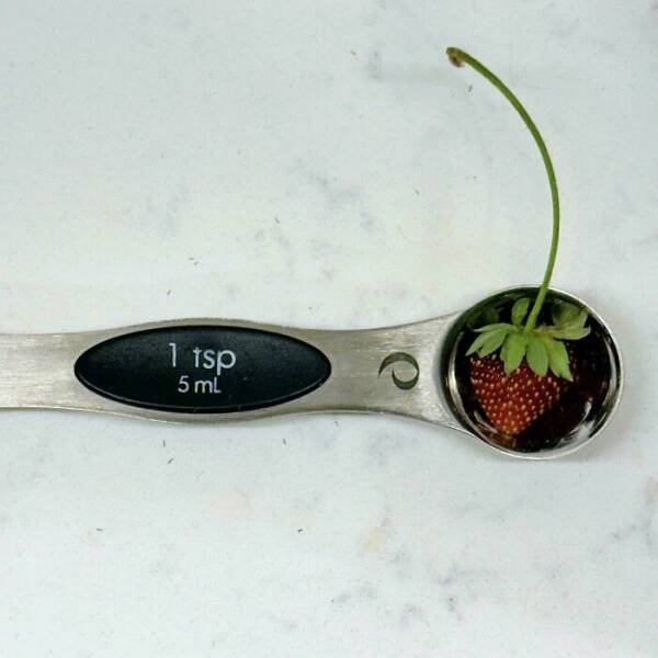 Failed But Cute Harvest (25 pics)