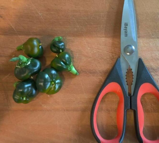 Failed But Cute Harvest (25 pics)